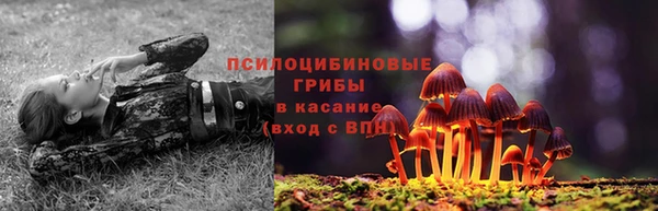 герыч Белокуриха
