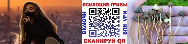 Галлюциногенные грибы ЛСД  Красный Холм 